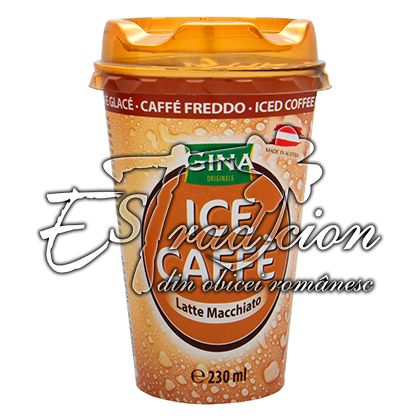 GINA ICE CAFFE LATTE MACCHIATO 10x230ml
